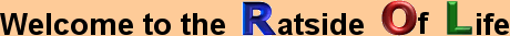 �berschrift unserer Ratten Seite